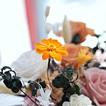 设计师品牌 - 彤话花艺工坊