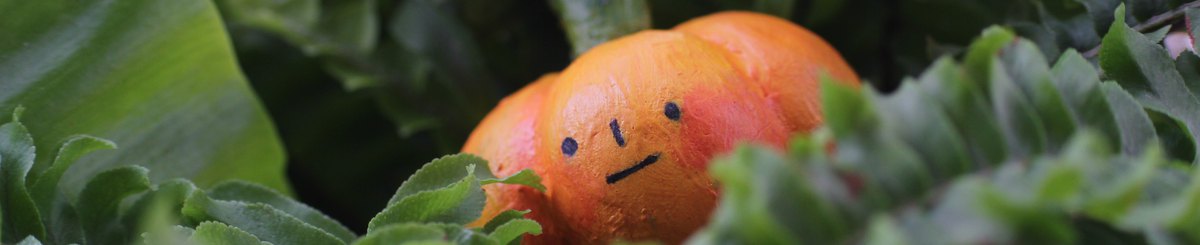 傻瓜南瓜