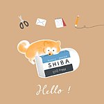 设计师品牌 - 有点柴柴的