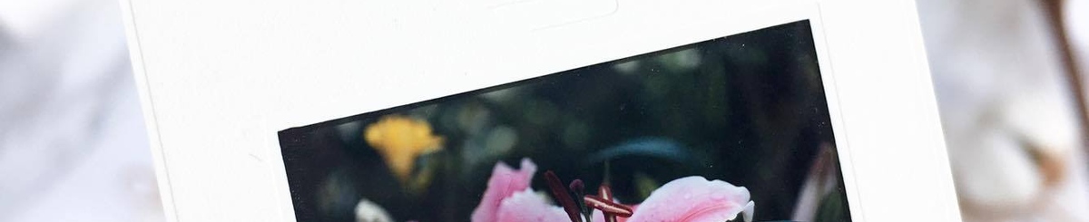 设计师品牌 - AME Calligraphy