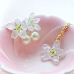 硬胶花痴 AGFC