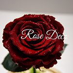 设计师品牌 - ROSE DECO