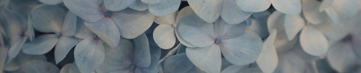 设计师品牌 - Aqua's natural collection