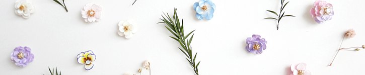 store image banner