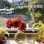 设计师品牌 - 台北微光艺术空间