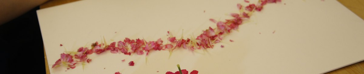 设计师品牌 - 人类图x艺术放松