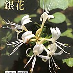 设计师品牌 - 山海都蓝