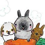 设计师品牌 - 毛球工坊