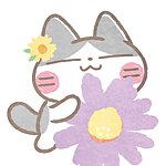 设计师品牌 - 伍佰是一只猫 Baibai the Cat