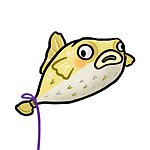 Ballooon fish