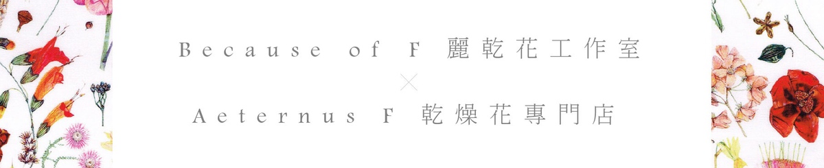 BOF＆AF的干燥花设计馆