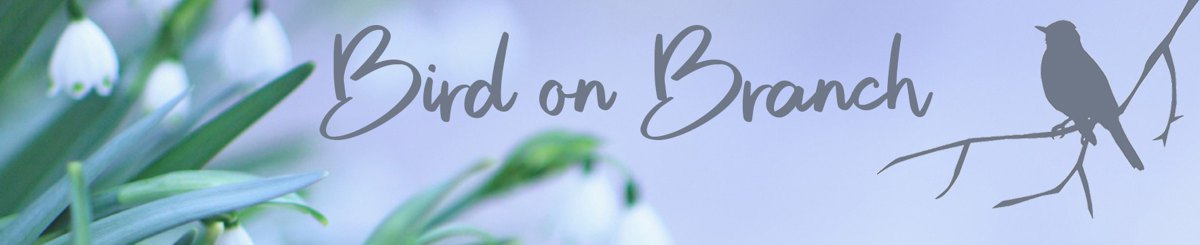 设计师品牌 - Birdonbranch
