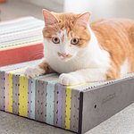 Blackhole Litter Mat ®专利雙層黑洞猫砂垫