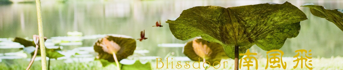 设计师品牌 - 南风飞