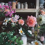 设计师品牌 - Blossomscape