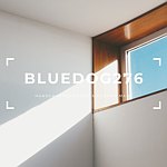 设计师品牌 - BLUEDOG276