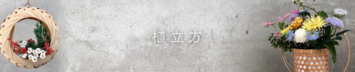 设计师品牌 - 植立方