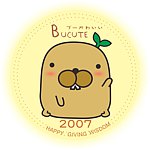Bucute