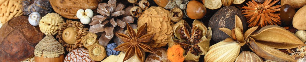 设计师品牌 - bugrelu