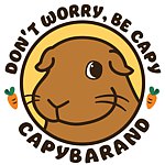 设计师品牌 - capybarand