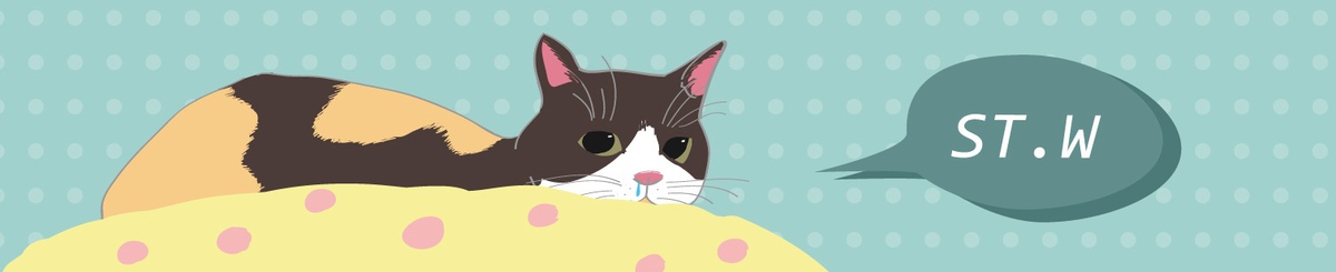 设计师品牌 - ST.W