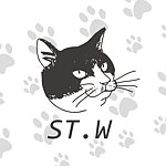 设计师品牌 - ST.W