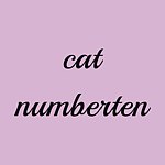 Cat No.10-十号猫咪