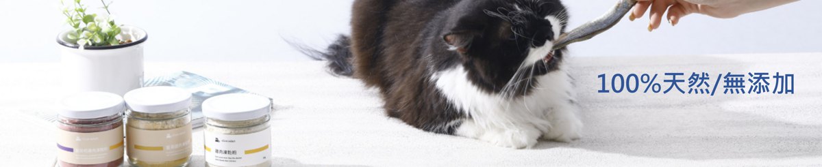 吸吸猫