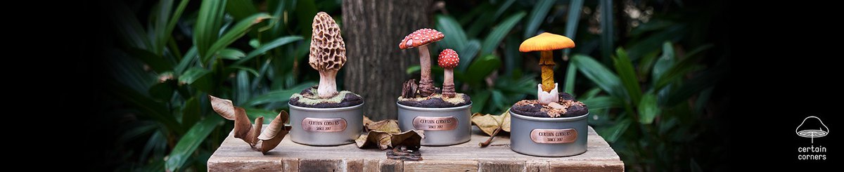 设计师品牌 - Certain Corners