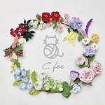 C for