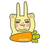 设计师品牌 - ChacHo8 鼻孔兔