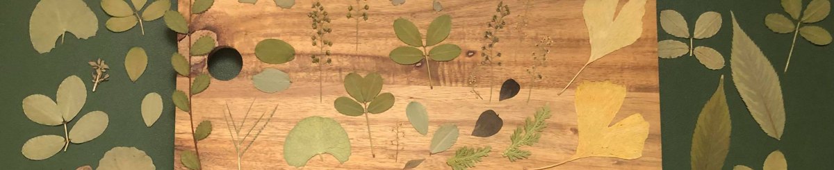 设计师品牌 - 窃窃