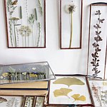 设计师品牌 - ChaikaFlowersShop