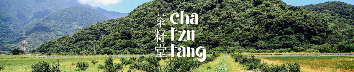 茶籽堂 chatzutang