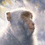 设计师品牌 - Chen-Wen Cheng Watercolor Official