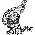 设计师品牌 - Ching 4 illustrations