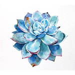 设计师品牌 - ciao y azul