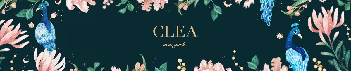 CLEANEWYORK