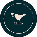 CLEANEWYORK