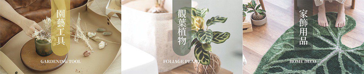 CLING植琢