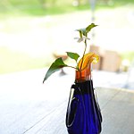 coba_luto glass labo