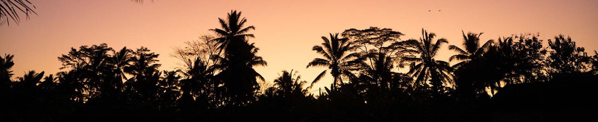 设计师品牌 - Cobali Treasure