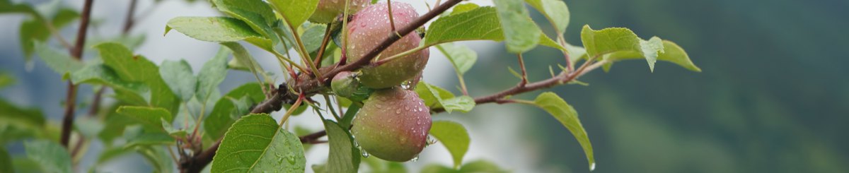 设计师品牌 - 自煮生活 Cooking & Living