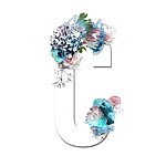 设计师品牌 - TaalaHK