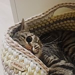设计师品牌 - CrochetCatBasket