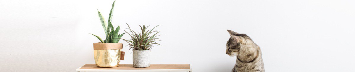 设计师品牌 - 象纸CulCreat