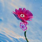 设计师品牌 - cutcha.co