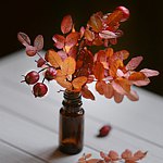 设计师品牌 - CuteFurryAnimals