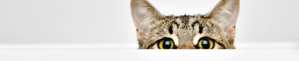 设计师品牌 - Desti