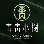 青青小树。多肉萌